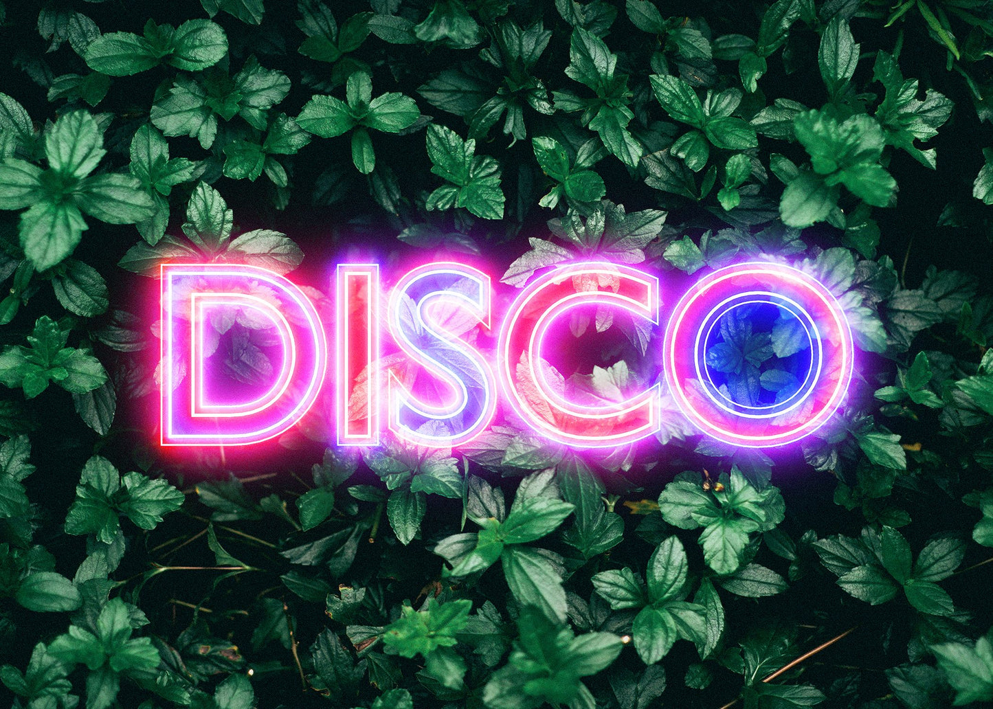 Disco Leaves Retro Sign Neon Print