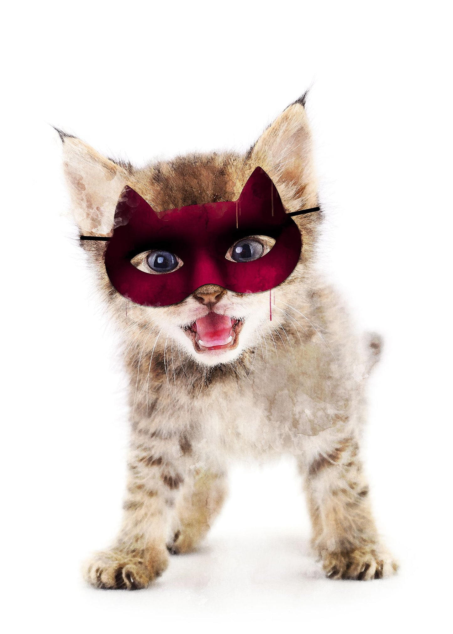 Super Kitten! Little Heroes Animal Print