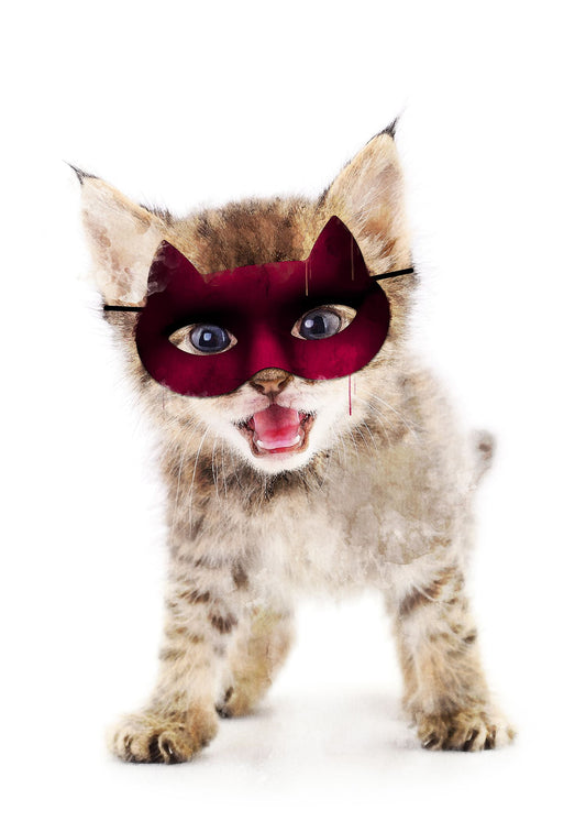 Super Kitten! Little Heroes Animal Print