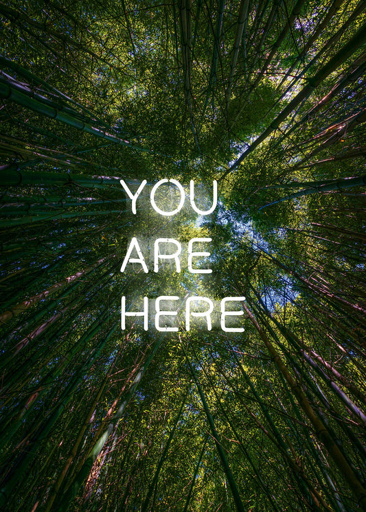 You Are Here Print